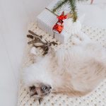 Купить подарки знакомым