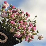 Купить подарок на ozon